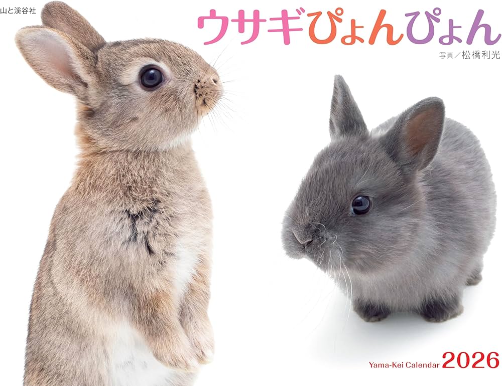 カレンダー2026 ウサギぴょんぴょん（月めくり/壁掛け/動物